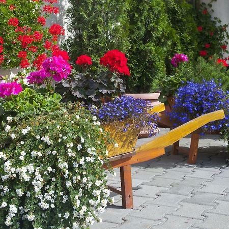 Hotel Cosmos Câmpulung Moldovenesc Екстериор снимка